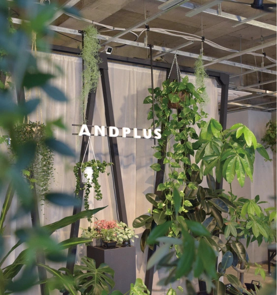 Image Header Banner SP