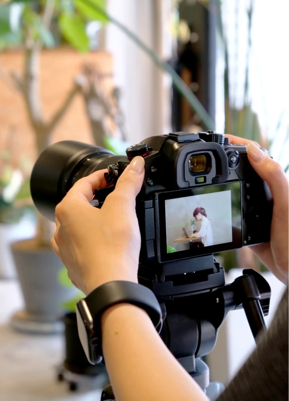 Image Header Banner SP